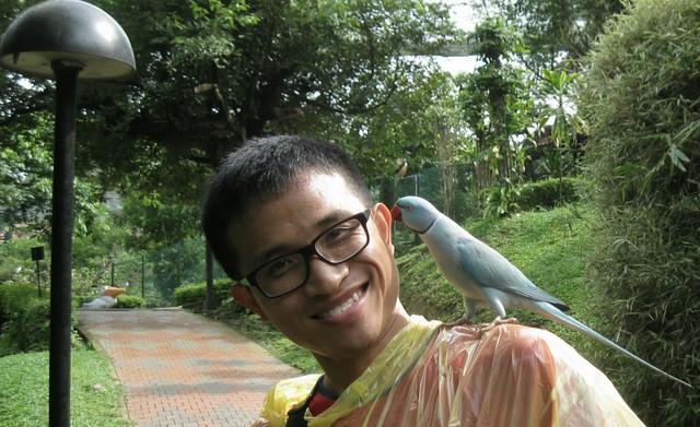 Close encounter with a parrot :) 