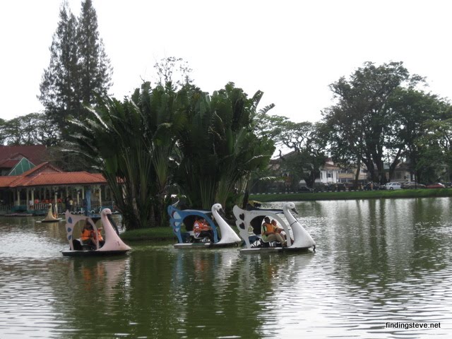 You can swan boating with friends and family. 